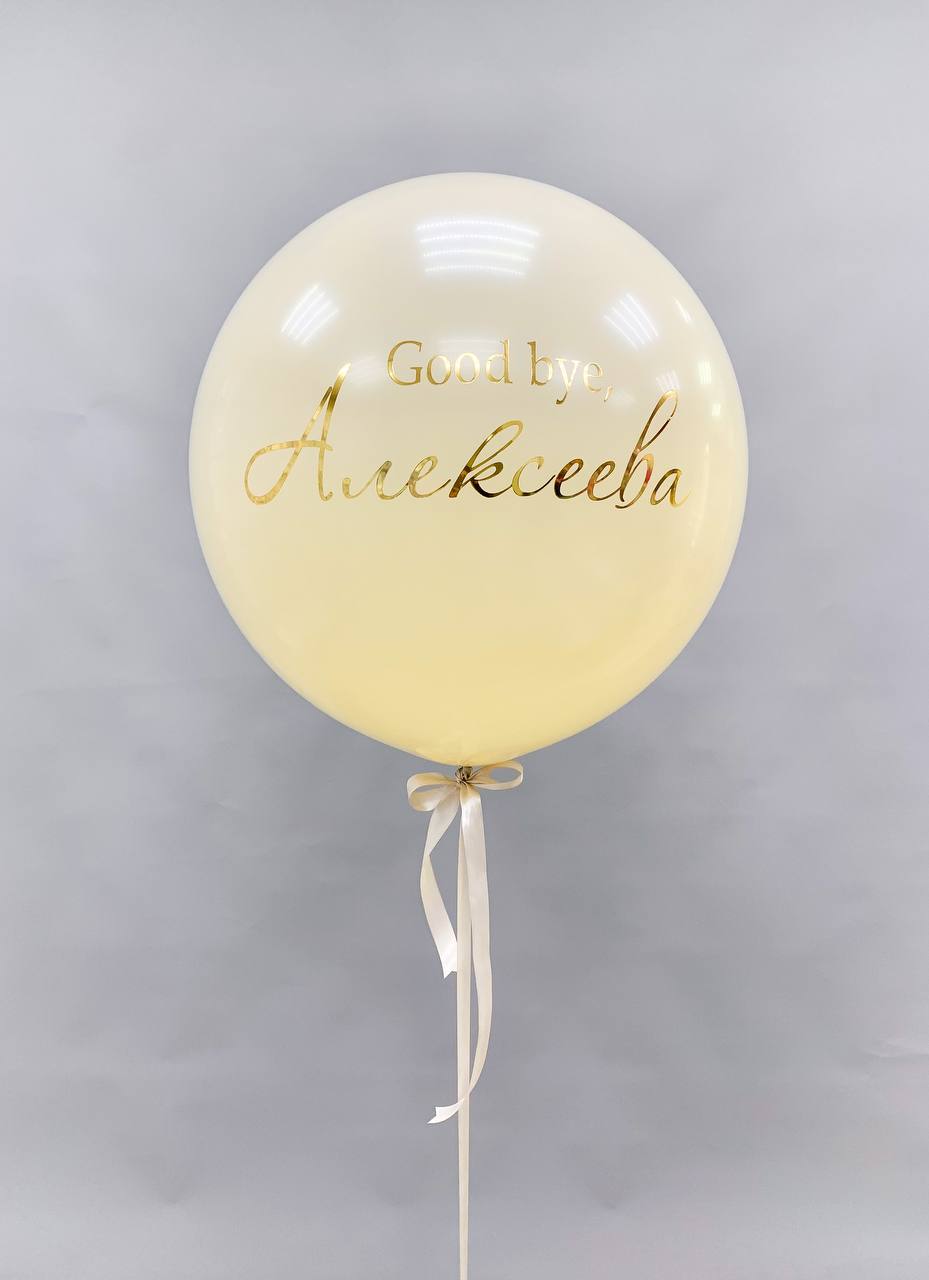 Набор воздушных шаров с большим шаром 534